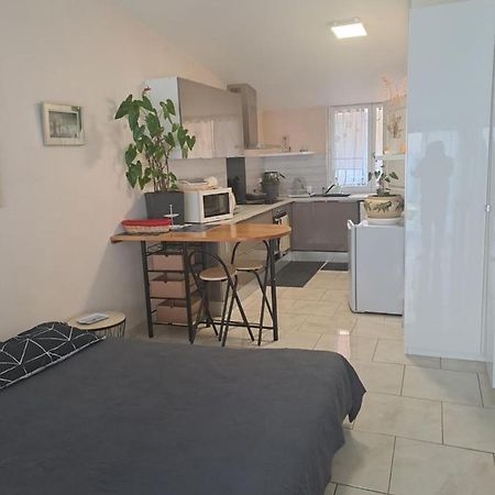 Ferienwohnung Chez Sabine Et Pascal Meyzieu Exterior foto