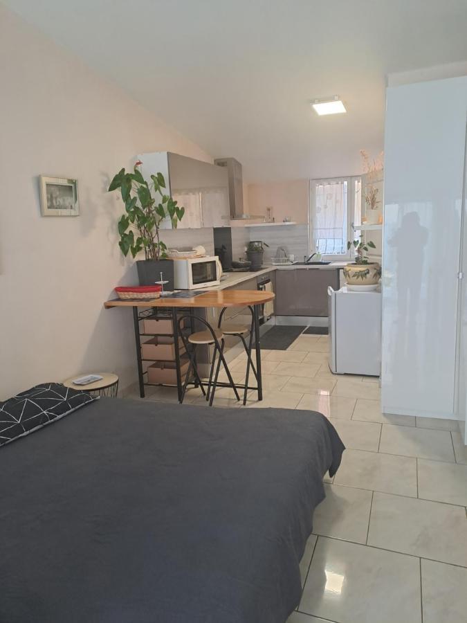 Ferienwohnung Chez Sabine Et Pascal Meyzieu Exterior foto
